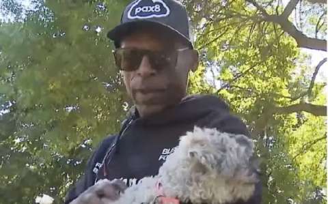 Tras 10 años perdido, perro se reencuentra con su dueño gracias a microchip