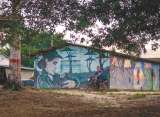 La historia de Agua Bonita, el poblado exFARC que visitó Consejo de Seguridad de ONU