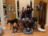 Esta pareja se dedica a rescatar perros ancianos que nadie quiere