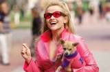 ‘Legalmente rubia’ será una serie. ¿Cuándo se estrena y estará Reese Witherspoon?