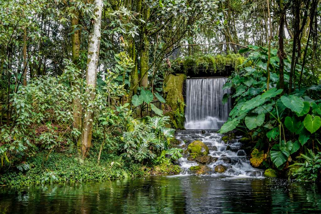 Con cerca de 20 hectáreas, el Jardín Botánico José Celestino Mutis es el principal refugio de biodiversidad de Bogotá, donde se conservan alrededor de 2.000 especies de plantas y decenas de especies de aves representativas de los ecosistemas andinos y de páramo. Los visitantes pueden recorrer los diferentes senderos, además de espacios como el tropicario más grande de Colombia, un espacio destinado a la conservación de especies de distintos ecosistemas del país, La Huerta Madre, el jardín de las rosas y participar en actividades educativas que se realizan a diario para acercar la ciencia y la naturaleza a todos.