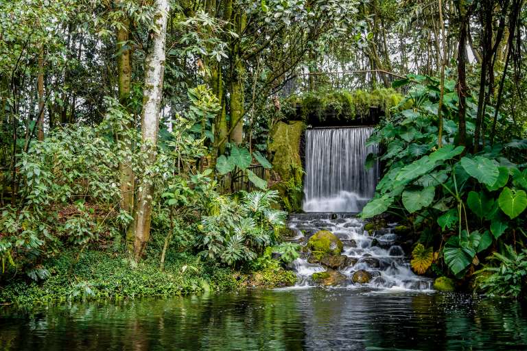 Con cerca de 20 hectáreas, el Jardín Botánico José Celestino Mutis es el principal refugio de biodiversidad de Bogotá, donde se conservan alrededor de 2.000 especies de plantas y decenas de especies de aves representativas de los ecosistemas andinos y de páramo. Los visitantes pueden recorrer los diferentes senderos, además de espacios como el tropicario más grande de Colombia, un espacio destinado a la conservación de especies de distintos ecosistemas del país, La Huerta Madre, el jardín de las rosas y participar en actividades educativas que se realizan a diario para acercar la ciencia y la naturaleza a todos.