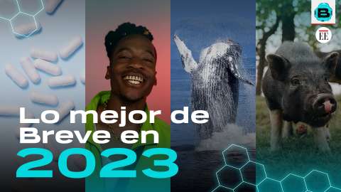 Riesgos de joyas en los dientes y carne de laboratorio: lo mejor de Breve en 2023