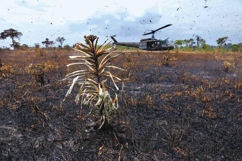 AME6034. PARQUE TINIGUA (COLOMBIA), 22/02/2020.- Un helicóptero aterriza en medio de las llamas, este sábado, en el Parque Nacional Natural Tinigua en el departamento del Meta (Colombia). Las autoridades colombianas detuvieron a 20 personas en los límites de los departamentos del Meta y Caquetá, por estar implicados en la deforestación de parques naturales, informaron este sábado fuentes oficiales. Las detenciones se realizaron en el Parque Nacional Natural Tinigua, en desarrollo de la cuarta fase de la operación Artemisa, una iniciativa que busca detener el avance de la deforestación en el país. "Durante esta fase de la operación las autoridades lograron recuperar 1.900 hectáreas de parques nacionales naturales y fueron capturadas 20 personas, ocho mujeres y doce hombres, por presuntos delitos ambientales", dijo a periodistas el ministro de Defensa, Carlos Holmes Trujillo, quien visitó la zona. EFE/ Mauricio Dueñas Castañeda