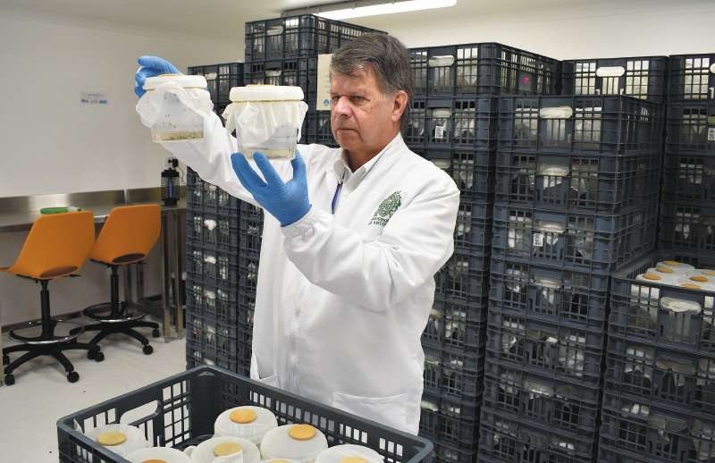El profesor Iván Darío Vélez es el director del grupo del Programa de Estudio y Control de Enfermedades Tropicales (PECET) de la UdeA. / Cortesía: PECET