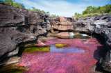 Este viernes Caño Cristales reabre sus puertas al turismo