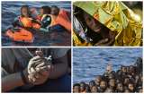 El drama de la migración a Europa