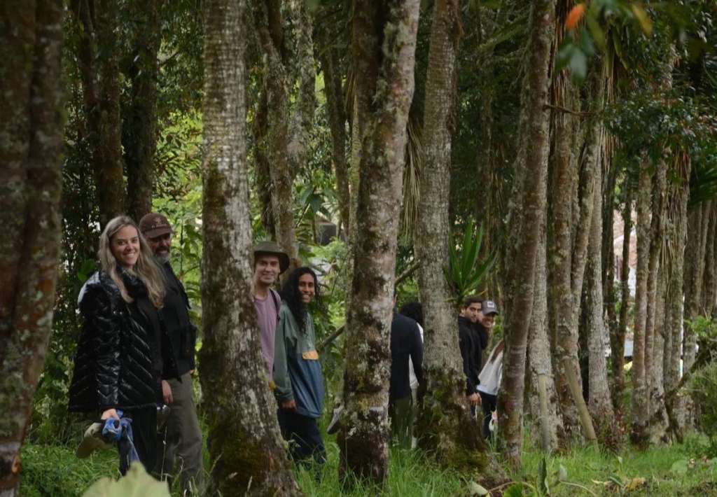 La entidad nació en el año 2012 con el objetivo de preservar las especies de plantas que se estaban extinguiendo en el alto Putumayo. Hoy, doce años después, su director confiesa que no ha sido fácil, pero lo han logrado.