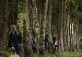 De sueño familiar a centro de investigación: historia del Jardín Botánico Tabanok
