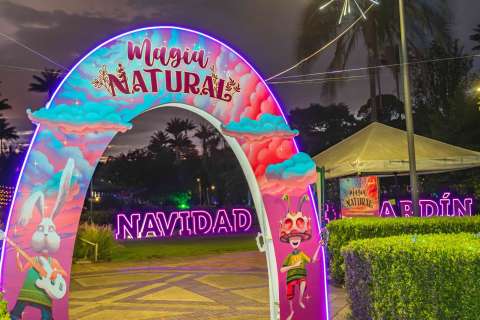 En fotos: así luce el Jardín Botánico de Bogotá durante la Navidad