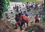 Por la selva del Darién cruzaron unos 112 migrantes cada hora durante agosto