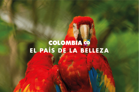 La Belleza Oculta de Colombia en la docuserie “ColombiAR”