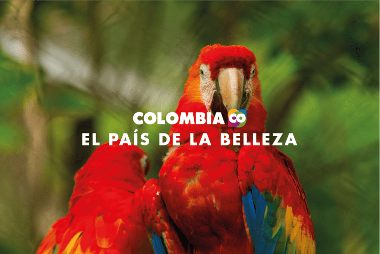 La Belleza Oculta de Colombia en la docuserie “ColombiAR”