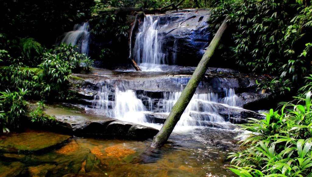 Sorprendentemente, uno de los lugares más lluviosos del mundo se encuentra en Colombia. Demuestra que la lluvia no es exclusiva de Bogotá.