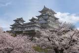 ¿Planeando un viaje a Japón? El país asiático relaja medidas para turistas