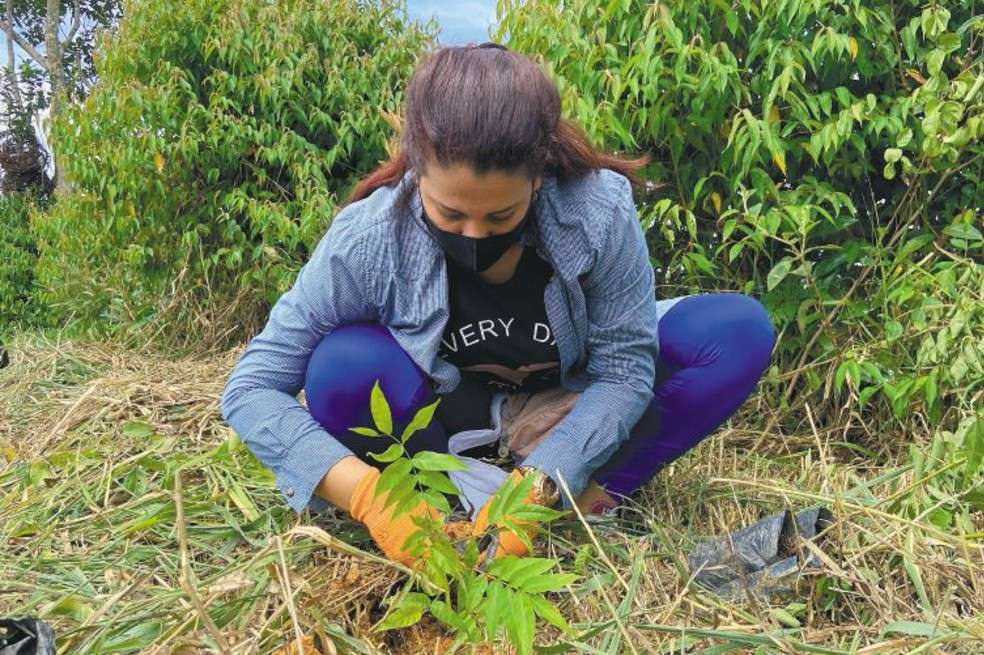 Según el IDEAM, en Antioquia se deforestaron más de 11.000 hectáreas durante 2019. La minería ilegal y la expansión de la frontera agrícola son algunas de las actividades que ocasionan esta problemática en el departamento.