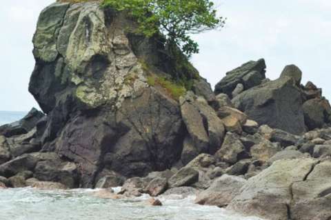 Piden a Santos frenar base naval en Gorgona