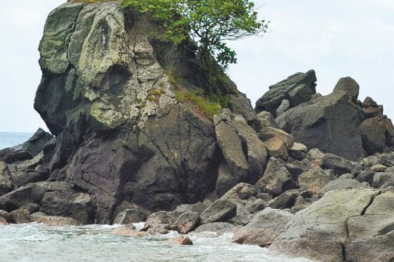 Piden a Santos frenar base naval en Gorgona