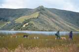 Minagricultura planea cambiar la frontera agrícola. Hay críticas en el sector ambiental