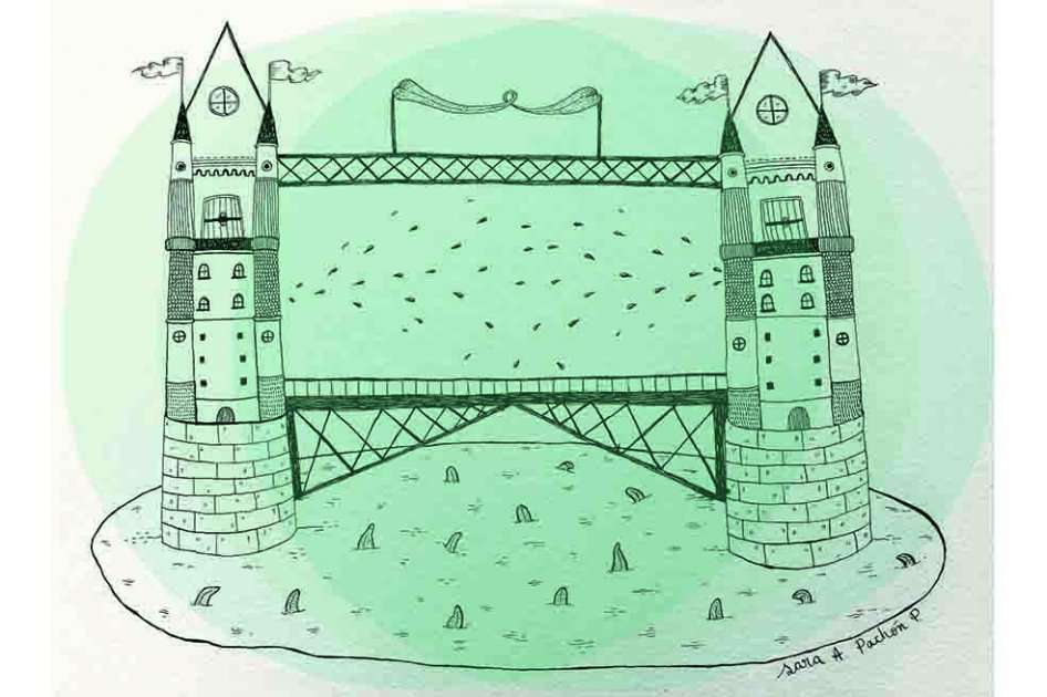 Ilustración: Sara Pachón.