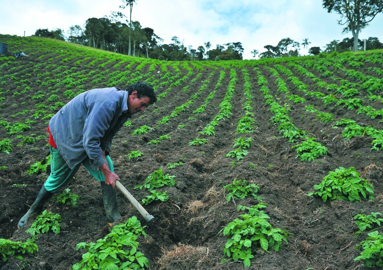 La apuesta bancaria por “atender a emprendedores del campo” con enfoque climático