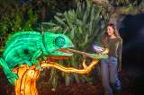 Aquatica Orlando estrena Illuminate, su primer festival nocturno de linternas