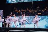 Filarmónica y Ballet de Medellín ofrecen el concierto “Invitación a la danza. Música y puntas”