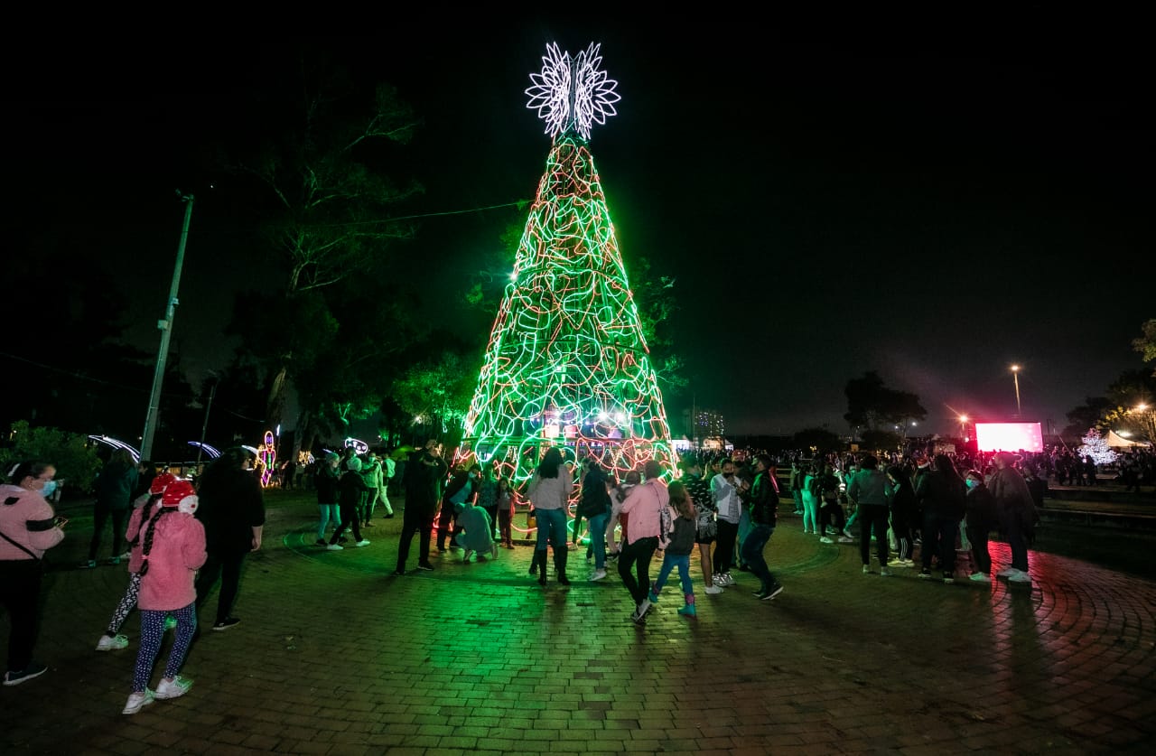 Árbol de navidad iluminado
