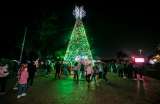 Feliz navidad para grinchs