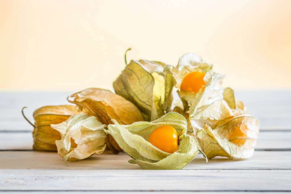 La uchuva se conoce en inglés como golden berry, que podría traducirse como “baya de oro”. / iStock