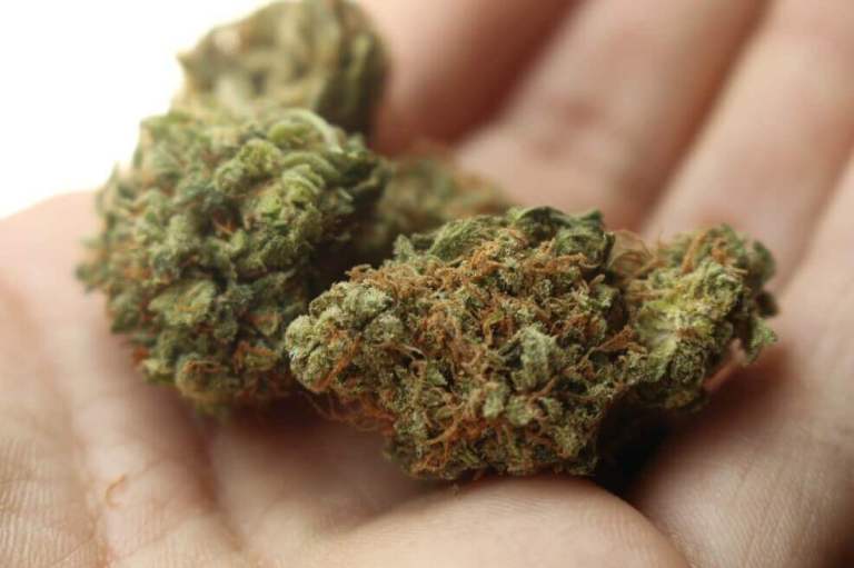 Consumo habitual de marihuana podría generar cambios estructurales en el corazón