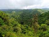 Costa Rica quedó en un ranking como uno de los destinos más felices del mundo: ¿qué resaltó?