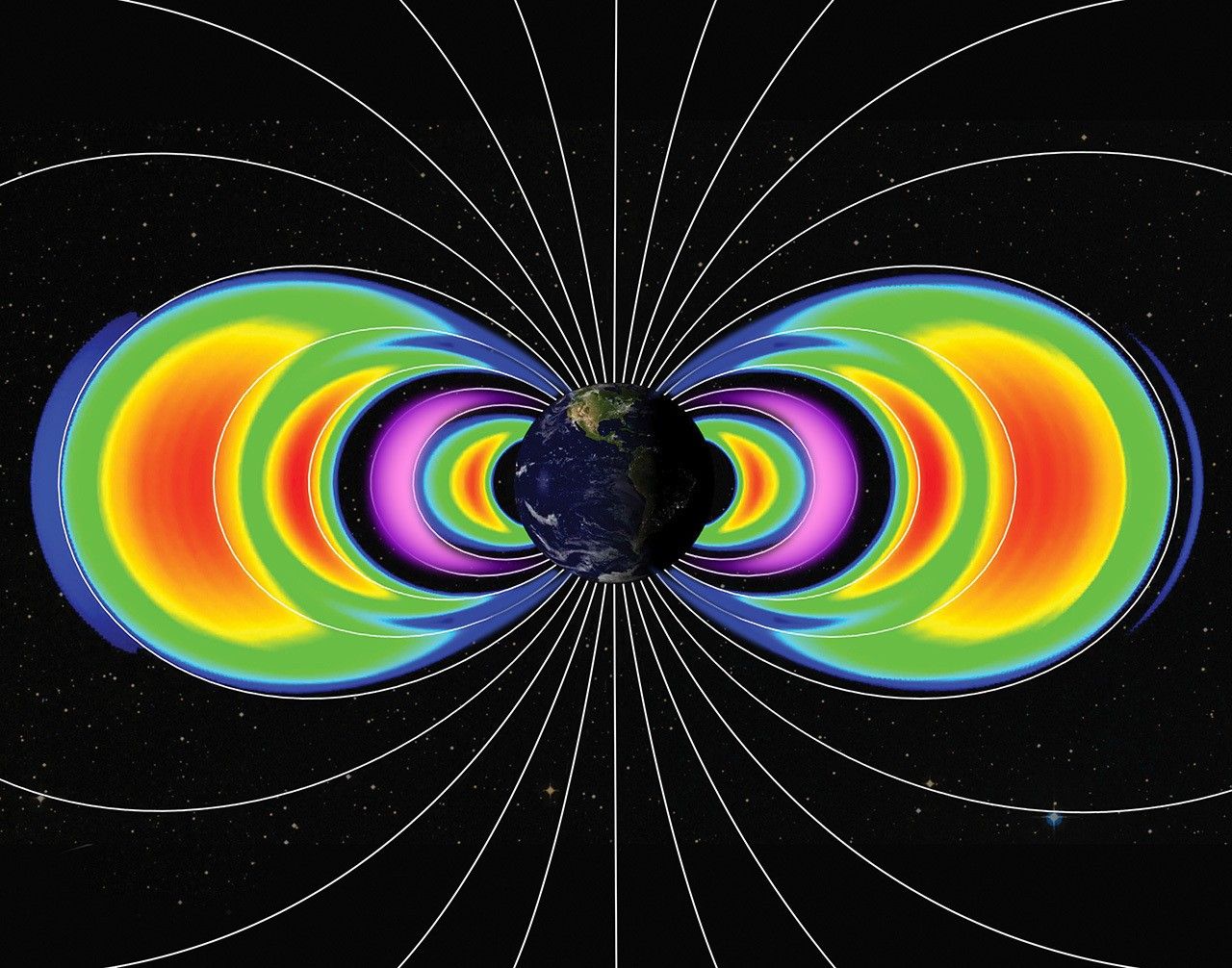 Uno de los nuevos cinturones, que se muestra en violeta, incluía una población de protones, lo que le daba una composición única que no se había visto antes.
NASA/Centro de vuelo espacial Goddard/Kristen Perrin