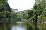 “La Magdalena Fest 2023”: Puerto Berrío como escenario de reconciliación