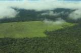 En video: así se ve desde el aire cómo avanza la deforestación en la Amazonía