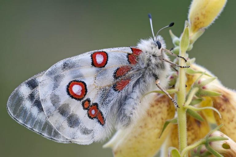 «Pérdida de biodiversidad es un problema económico y social”: colombiana evaluadora del IPBES
