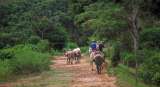 Campesinos le ganan a empresa santandereana Incarare en proceso de restitución de tierras