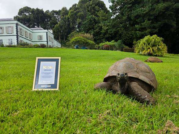Imagen de la tortuga Jonathan junto al nuevo reconocimiento de los Récords Guinnes.