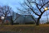 Torre de Tokio: cárceles geriátricas  