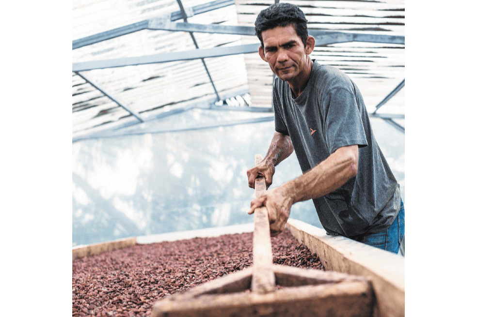cacao Profesión Líder