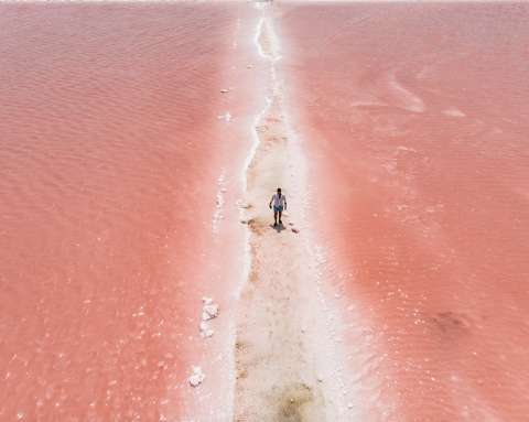 Mar Rosado de Galerazamba: guía para visitar este fenómeno natural en Colombia