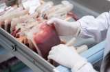 Alerta en Bogotá por caída del 12 % en la donación de sangre, ¿por qué es importante?