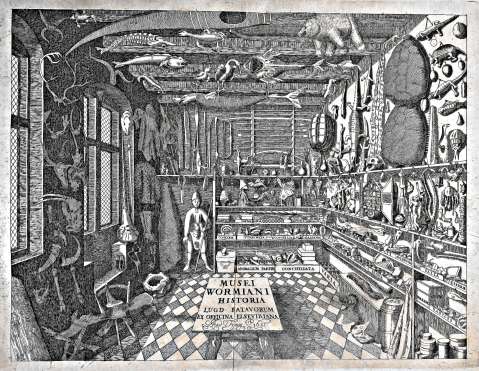 Gabinetes de curiosidades: la naturaleza como parte de la cultura y la propiedad