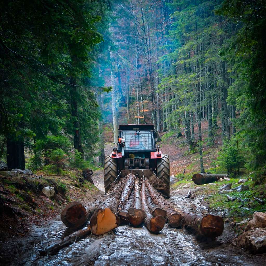 Madera Refocosta.