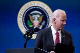 “Apoyar fumigación con glifosato envía un mensaje de crueldad”: organizaciones a Biden