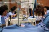 Comisiones económicas avalan extender  Programa de Apoyo al Empleo Formal