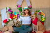 Ibagué celebrará el cuarto desfile sampedrino de perros y gatos
