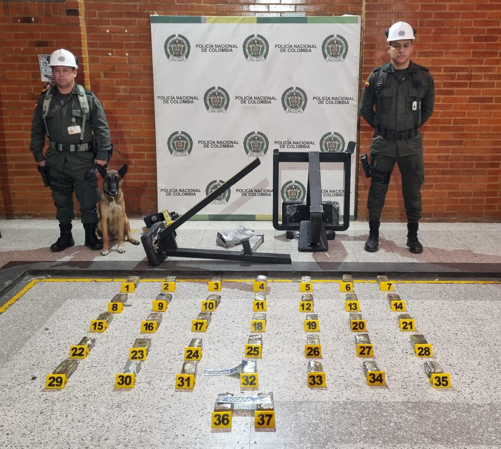 Un perro logró identificar cocaína en una encomienda que iba dirigida a Estados Unidos.
