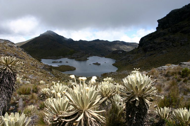 El Senado le pide a Duque prohibir la minería cerca a los páramos