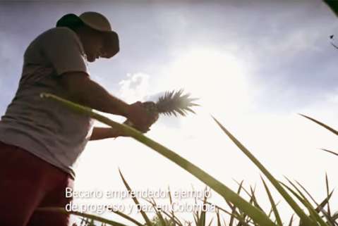 Utopía, un laboratorio para reinventar el campo